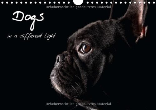 Dogs in a different Light (Wandkalender 2014 DIN A4 quer): Momente für die Ewigkeit (Monatskalender, 14 Seiten)