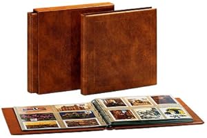 SAFE 1006 Cassette de Protection pour Maxi-Album