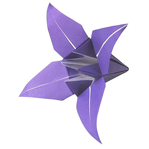 Origami-Papier – Origami-Papier Set – 60 Unifarben sortiert – 500 Blatt – 15cm x 15cm - 5