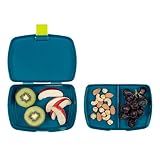 Lässig 1210002717 Kinder Lunch-Box Brotdose, Wildlife Löwe - 3