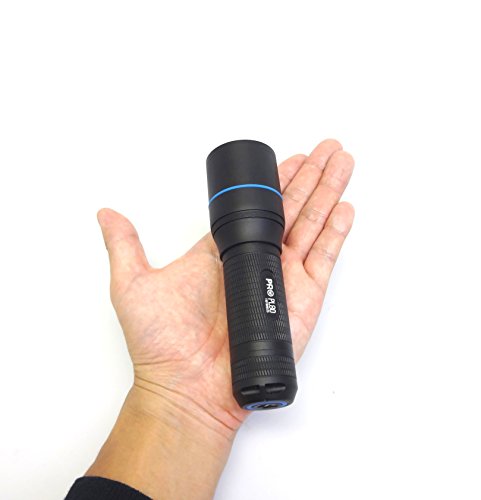 Walther Pro PL80 - 6