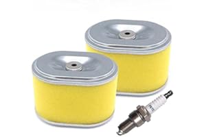 BOOSTI 2x Luftfilter mit Zündkerze passend für BAUMAX VP16/44, VP16/46-P, RVP27/40, RVP30/50 Rüttelplatte Rüttler Luftfiltereinsatz