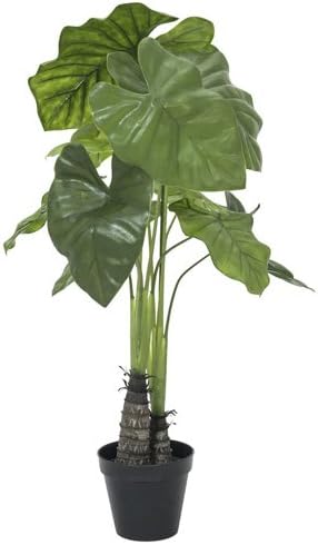 Europalms Caladium Plant Green 90 cm
