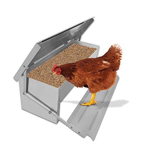 GUOHONG Mangeoire Automatique pour Poulet 5 kg