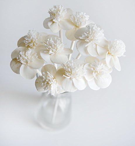 Exotic Plawanature Set of 10 White Cherry Blossom Sola Wood Flower with Reed Diffuser for Home Fragrance.