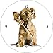 Produktbild Artland Wand-Analog-Funk-Quarz-Uhr Digital-Druck auf Echt Glas mit Motiv Barbara Helgason Junger Hund hört Musik über Kopfhörer Tiere Haustiere Hund Fotografie Weiß A6ES