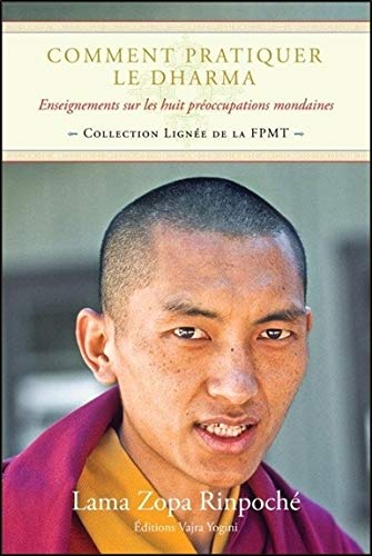 Télécharger Comment pratiquer le Dharma - Enseignements sur les huit préoccupations mondaines Livre eBook France