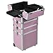 All in 1 Pro Large Aluminium Hairdressing Makeup Vanity Toiletry Storage Nail Case Box Beauty Cosmetics Trolley 4 in 1 (Pink)