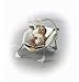 Fisher-Price My Little Lamb Deluxe Infant Seat