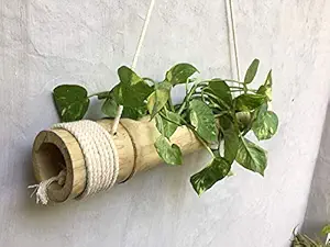 Rareproducts Bamboo Hanging Planter with Disposable Gloves