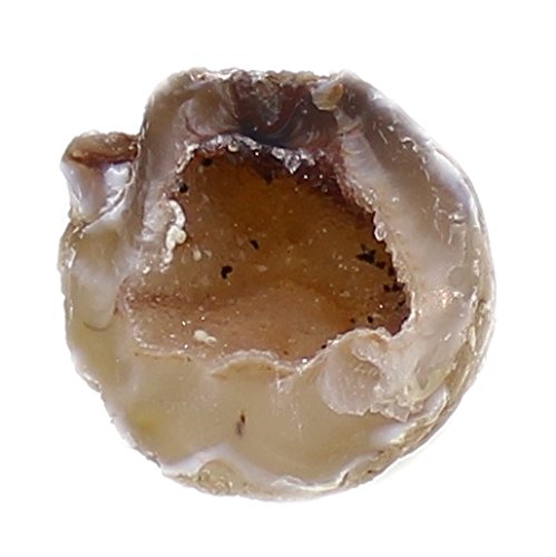 budawi® – Achatgeode Geodenhälfte Glücksgeode 3 – 4 cm Rohstein, kleine Achatdruse - 5