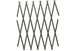 Roots & Shoots 2x Green Large Expanding Wooden Trellis | 6Ft x 2Ft