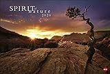 Spirit of Nature. Wandkalender 2020. Monatskalendarium. Spiralbindung. Format 58 x 39 cm by 
