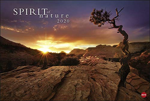 Spirit of Nature. Wandkalender 2020. Monatskalendarium. Spiralbindung. Format 58 x 39 cm