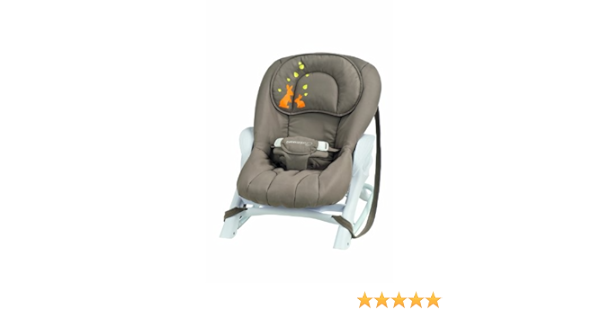 Bebe Confort Transat Cocon Evolution Into The Wind Collection 12 Amazon Fr Bebes Puericulture
