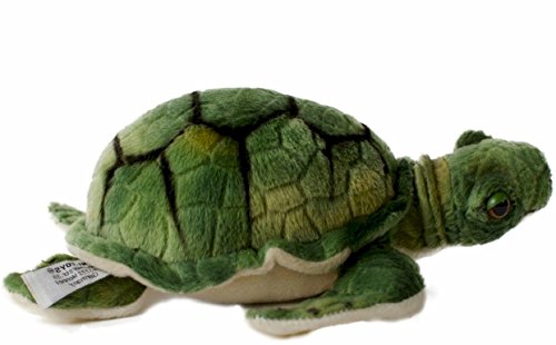 Tortuga de peluche pequeña tortuga de peluche 20 cm