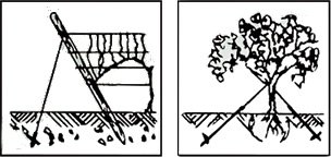 Erdanker Bodenanker 80cm für Baum-Bindungen, Gewächshaus Anzucht-Tunnel Zelte und Pavillon, GREEN24 PROFI Schraubanker - 2