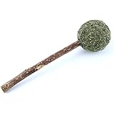 KOTA PET Katzenminze Katzenspielzeug Haustiere natürliche komprimierte Fitness Ball Lollipop,helfen bei Mundgeruch und Zahnstein