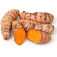 PKD Earth Best 100% Natural Wild Turmeric Powder Amba Haldi/Jungli Haldi (Manjal)_Pack of 100g