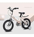 Abmessungen: 14 Zoll, Räder: 25 cm, geeignete Höhe: 95-125 cm, Gesamtlänge: 102 cm, Nettogewicht: 8kg.