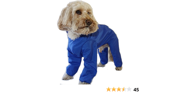 cockapoo raincoat