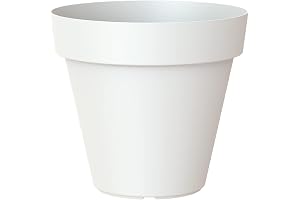 25 cm