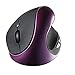 Price comparison product image Big-Mountain Wireless Vertical Rechargeable Mouse Mobile Mouse with Built in Battery for Tablet Laptop (Purple)