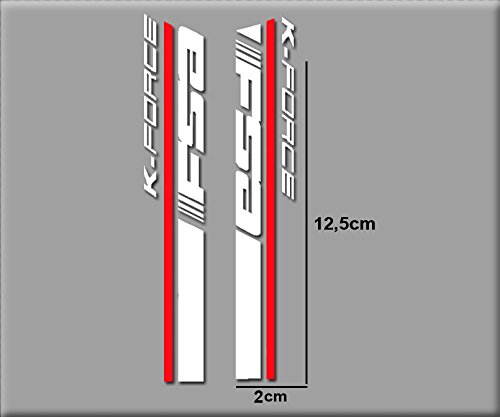 PEGATINAS FSA 1 KIT BIKES R155 VINILO ADESIVI DECAL AUFKLEBER КЛЕЙ