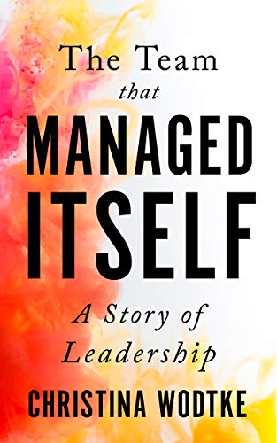 The Team that Managed Itself: A Story of Leadership (English Edition)