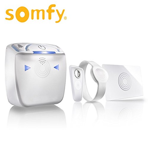 Preisvergleich Produktbild SOMFY Lecteur de badges pour serrure connectée