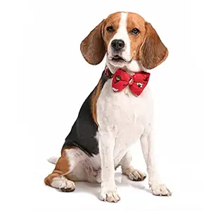 Harry Potter - Friends of Harry Potter Dog Bow Tie - by Mutt of Course (Color - Red) (Small)