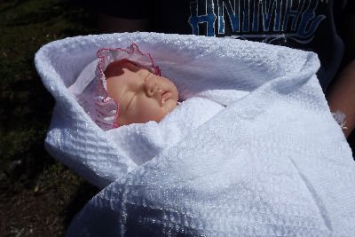 PRIMROSE Lifesize 18