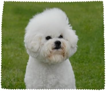 Bichon Frise Dog Soft Microfibre Lens Screen Cleaning Cloth