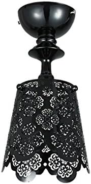 ZHDC® Ceiling lamps, rural personality Hollow Carved aisle Ceiling light living room restaurant bedroom study aisle balcony LED lights E14 light source Easy to clean ceiling lamp ( Color : Black )