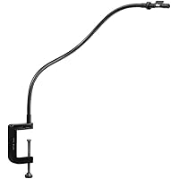 NeoLucida: The 21st Century Camera Lucida