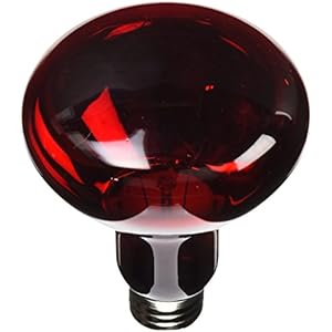 Zoo Med RS-150E Nocturnal Infrarot Strahler, 150W, Wärmequelle und Beleuchtung für Terrarien