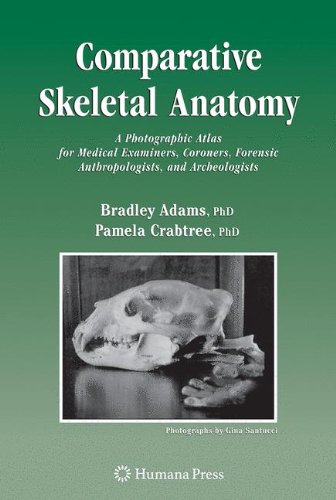 Comparative Skeletal Anatomy : A Photographic Atlas for Medical Examiners, Coroners, Forensic Anthropologists, and Archaeologists francais Comparative Skeletal Anatomy : A Photographic Atlas for Medical Examiners, Coroners, Forensic Anthropologists, and Archaeologists francais