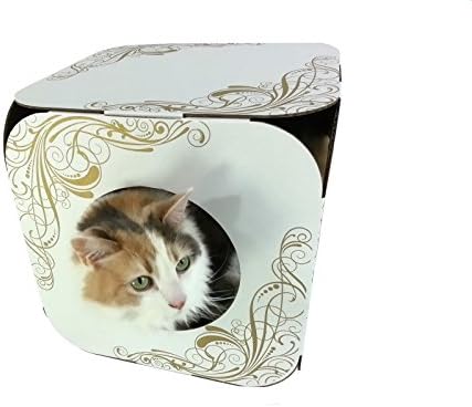 Cat Grass Gift Pack By Cat FurNature