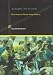 Produktbild An Engine, Not a Camera: How Financial Models Shape Markets (Inside Technology)