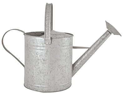 Fallen Fruits Vieux Zinc 6,5 L Arrosoir