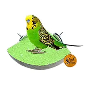 Sage Square Playful Natural Wood Sand Perch Platform Cage Toy for Parrot, Budgies, Cockatiel, Lovebird, Budgerigar, Sun Conure, Finch, African Grey, Canary, Cockatoo, Macaw Birds (6