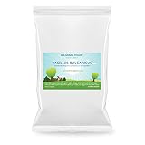 El iniciador de yogur es orgánico y totalmente natural sin conservantes, aditivos, colores artificiales o sabores. No contiene ingredientes transgénicos y no contiene gluten
