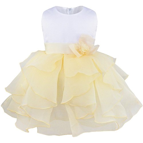 TiaoBug Baby Girls Party Dress Princess Organza Ruffle Wedding Bridesmaid Pageant Dresses Beige 18-24 Months