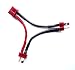 Produktbild Premium Ladekabel Y-Kabel Adapter T-Dean 2 Stecker und 1 Buchse Lipo Akku Reihenschaltung Reihe Serie 14AWG Kabel von Mr. Stecker Modellbau®