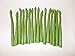 Produktbild 16 Spargelstangen (grün) - Gemüse Imitationen 2. Wahl, Fake Food, Deko, Spargel Lebensmittelattrappe, Theater Requisite, Bühnendeko, Replikat aus Kunststoff