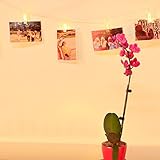 LED Foto Display Lichterkette mit Timer Funktion Warm Weiß 15 ft/4 - 4