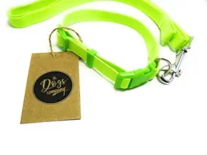 Pets Nylon Dog Leash and Collar Set, Suitable for Small Dogs, Green