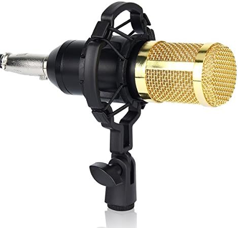 Donnagelia BM800 Condenser Microphone Kit with Shock Mount and Anti-wind Foam Cap and Microphone Power Cable for Professional Studio Recording Podcasting Broadcasting