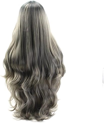 coko Gray 2 Tones Synthetic Lace Front Wig Dark Roots Long Natural Straight Silver Grey Replacement Hair Wigs For Women Heat Resistant Fiber Hair Half Hand Tied 22 Inches (Deep Space Grey)