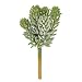 Imported Artificial Echeveria Flower Succulent Grass Plant Arrangement White Green RS.315.00